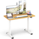 Electric Standing Desk Adjustable Stand up Computer Desk Anti-collision by LJGDeals