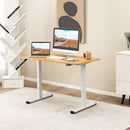 Electric Standing Desk Adjustable Stand up Computer Desk Anti-collision by LJGDeals