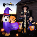 5 Feet Long Halloween Inflatable Dachshund Dog with Pumpkin by LJGDeals