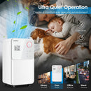 32 Pints 2000 Sq. Ft Dehumidifier for Home and Basements with 3-Color Digital Display-White by LJGDeals