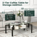 2-Tier Rectangular Glass Coffee Table with Metal Tube Legs-Black by LJGDeals