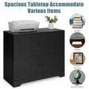 2-Drawer Lateral File Cabinet with Adjustable Bars for Home and Office by LJGDeals