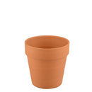 2.5'' Terracotta Pot