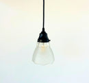 Frosted Leaf and Clear Ribbed Glass Pendant