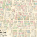 Vintage Map of Little Italy, New York 1869