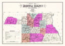Vintage Map of Houston County, Alabama 1907