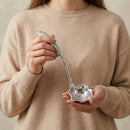 Magnolia Ladle by Arthur Court Designs