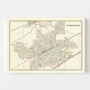 Vintage Map of Birmingham, Alabama 1895