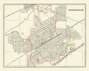 Vintage Map of Birmingham, Alabama 1895