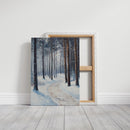 A Path Through Winter's Embrace