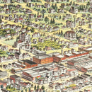 Vintage Map of Santa Rosa, California 1897