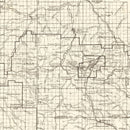 Vintage Black Hills National Forest Map 1917