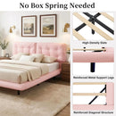 Queen Size Upholstered Floating Bed Frame with LED Lights by HouseOfZazla