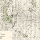 Vintage Custer National Forest Map 1938