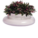 Kurage Vase