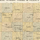 Vintage Map of Brookings County, South Dakota 1917