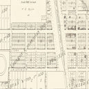 Vintage Map of Letcher, South Dakota 1884