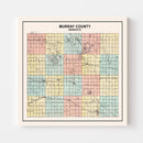 Vintage Map of Murray County, Minnesota 1907