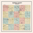 Vintage Map of Murray County, Minnesota 1907