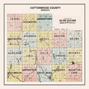 Vintage Map of Cottonwood County, Minnesota 1907