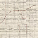 Vintage Map of Roseau County, Minnesota 1921