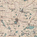 Vintage Map of Meeker County, Minnesota 1913
