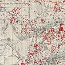 Vintage Map of Itasca County, Minnesota 1908