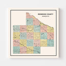 Vintage Map of Redwood County, Minnesota 1907