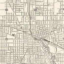 Vintage Map of Jackson, Michigan 1929