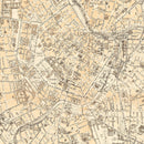 Vintage Map of Vienna, Austria 1923