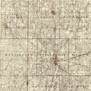 Vintage Map of Hamilton County, Indiana 1919