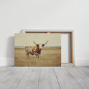 Prairie King: Longhorn on the Plains