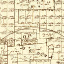 Vintage Map of Stephens County, Texas 1879