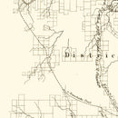 Vintage Map of Gillespie County, Texas 1850