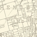 Vintage Map of Taylor County, Texas 1889