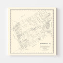 Vintage Map of Somervell County, Texas 1884