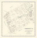 Vintage Map of Somervell County, Texas 1884
