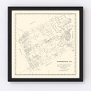 Vintage Map of Somervell County, Texas 1884