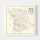 Vintage Map of Lee County, Texas 1888