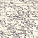 Vintage Map of Parker County, Texas 1889