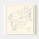 Vintage Map of Somervell County, Texas 1884