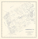 Vintage Map of Somervell County, Texas 1884
