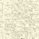 Vintage Map of Parker County, Texas 1889