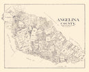 Vintage Map of Angelina County, Texas 1899