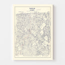 Vintage Map of Dallas County, Texas 1890