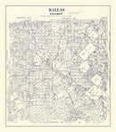Vintage Map of Dallas County, Texas 1890