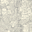 Vintage Map of Runnels County, Texas 1898
