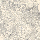 Vintage Map of Erath County, Texas 1896