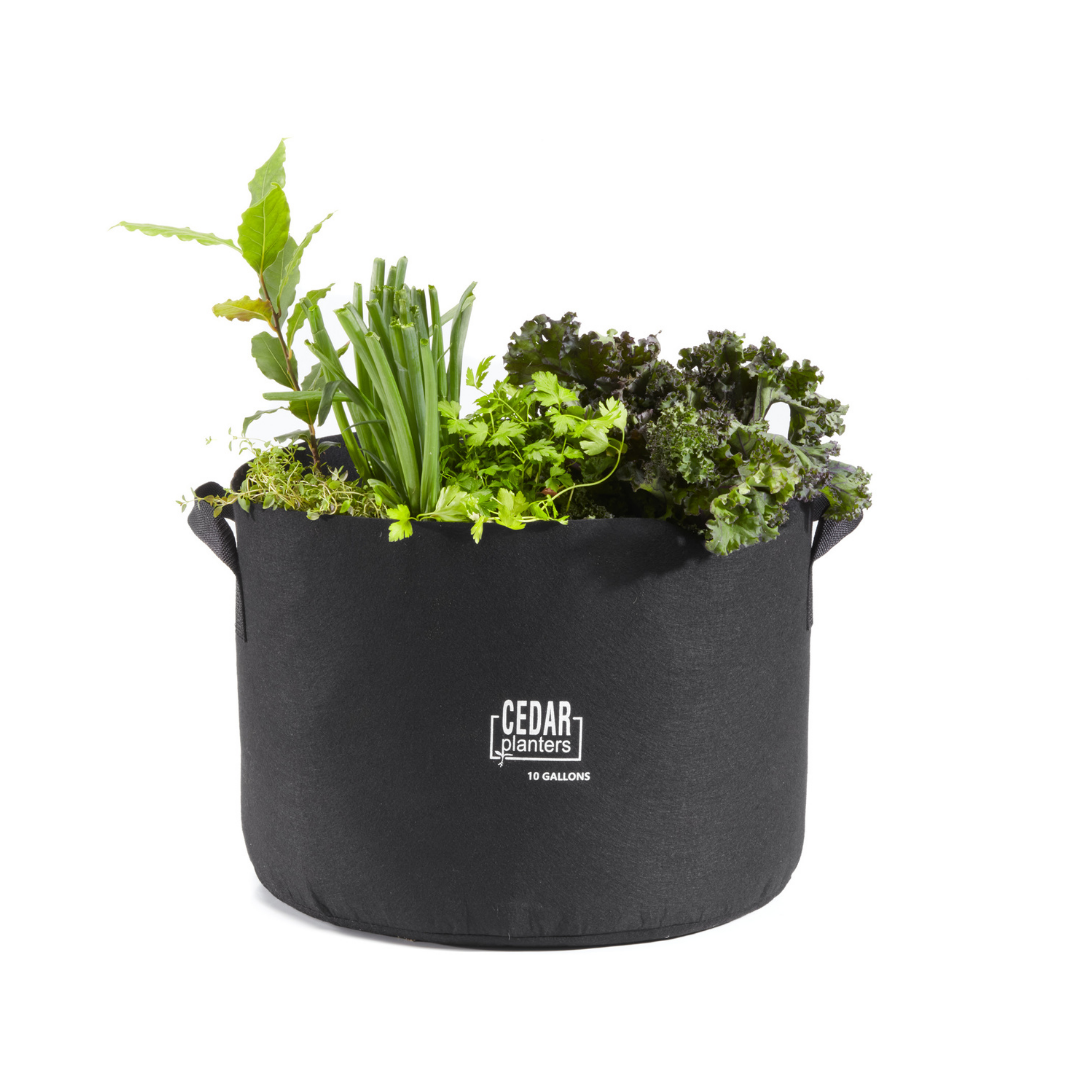 Grow Bag (10 Gallon), photo 6 of 6