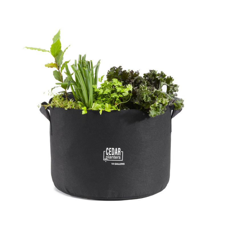 Grow Bag (10 Gallon), photo 6 of 6